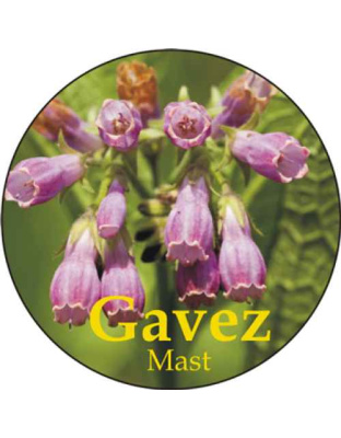 Gavez mast